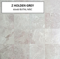 Z HOLDEN GREY 60X60 MSC
