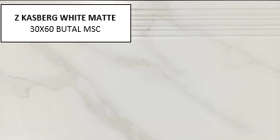 Z KASBERG WHITE MATTE 30X60 MSC