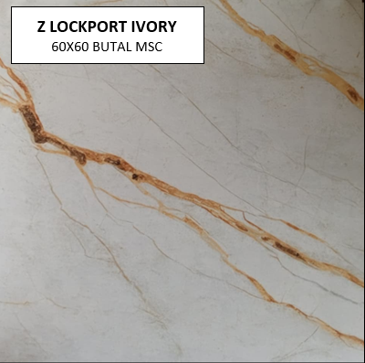 Z LOCKPORT IVORY 60X60 MSC