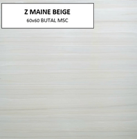 Z MAINE BEIGE 60X60 MSC