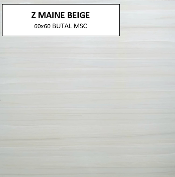 Z MAINE BEIGE 60X60 MSC