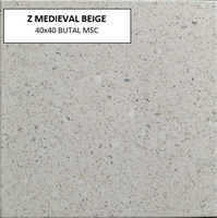 Z MEDIEVAL BEIGE 40X40 MSC MATTE
