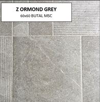 Z ORMOND GREY 60X60 MSC