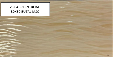 Z SEABREEZE BEIGE 30X60 MSC