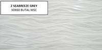 Z SEABREEZE GREY 30X60 MSC