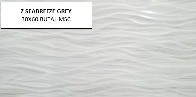 Z SEABREEZE GREY 30X60 MSC