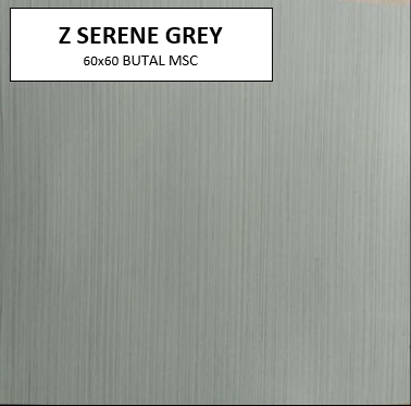 Z SERENE GREY MATTE 60x60 MSC
