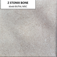 Z STONIX BONE 60X60 MSC