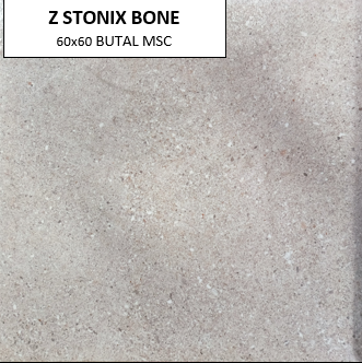 Z STONIX BONE 60X60 MSC