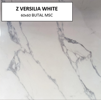 Z VERSILIA WHITE 60X60 MSC