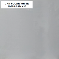 Z CPN POLAR WHITE KT CS6000 60X60 MSC