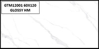 GTM12001 60X120 GLOSSY HM