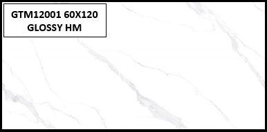 GTM12001 60X120 GLOSSY HM