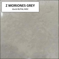 Z MORIONES GREY GLOSSY 30x30 MSC