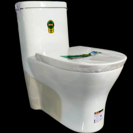 R701 ONE PIECE TOILET HS