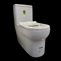 R712 ONE PIECE TOILET HS