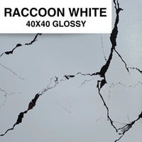 RACCOON WHITE 40X40 MSC GLOSSY