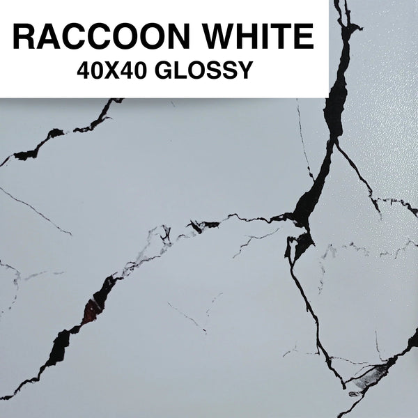RACCOON WHITE 40X40 MSC GLOSSY