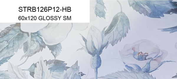STRDB126P12A-HB 60x120 GLOSSY SM (PO)