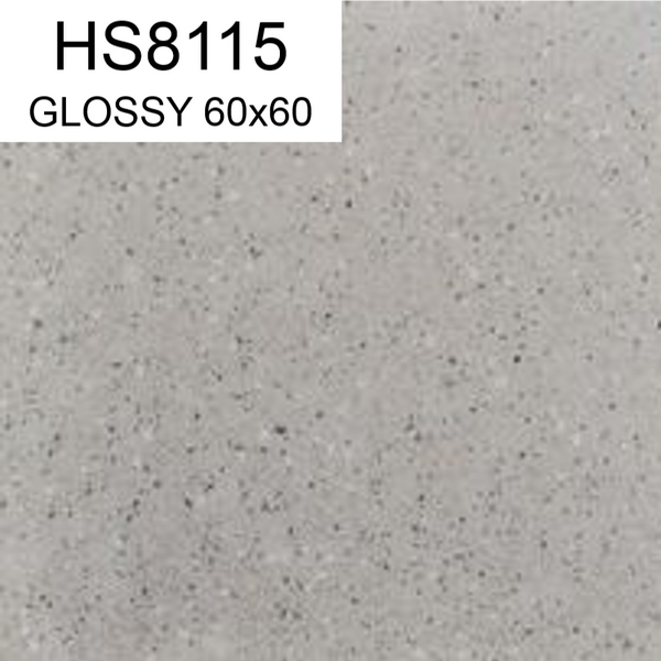 HS8115 60x60 GLOSSY HS (PO)