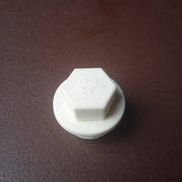 TP25 THREADED PLUG