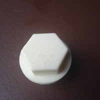 TP32 THREADED PLUG