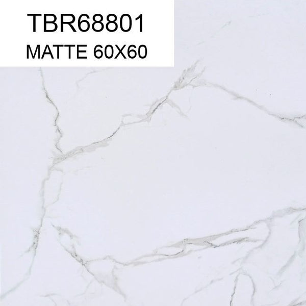 TBR68801 60x60 MATTE SM (PO)