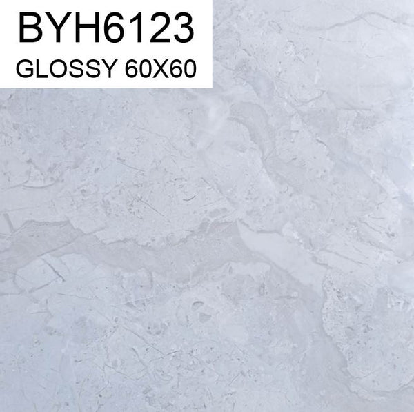 BYH6123 GLOSSY 60x60  COH (PO)