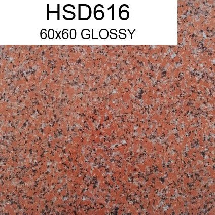 HSD616 60x60 GLOSSY HS (PO)