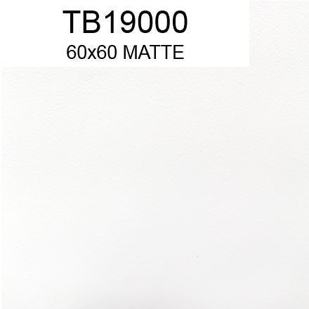 TB19000 60x60 MATTE SM (PO)