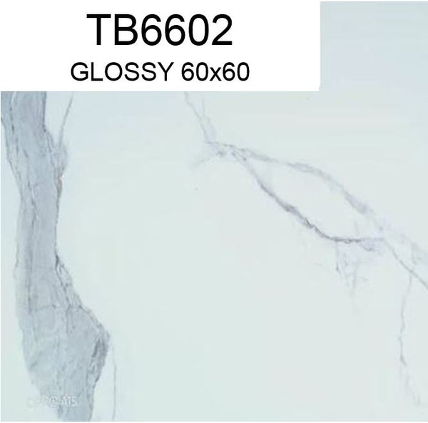 TB6602-C 60x60 GLOSSY SM